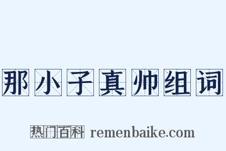 那小子真帅组词是什么意思的图片